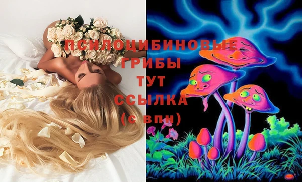гидра Баксан